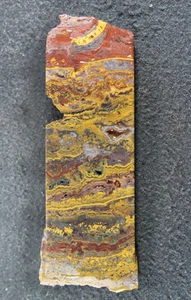 Apple Valley Morocco Stromatolite End Piece |  181 Grams | Lapidary | Collectors - Picture 1 of 9