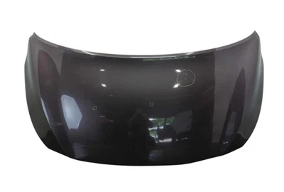 2015-2021 Kia Sedona Hood Titanium Brown Pearl MBN 66400A9000 OEM KIA Foto 1 de 4