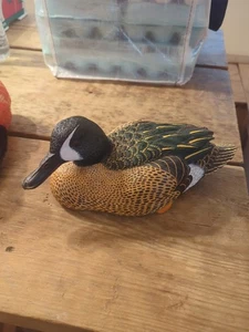 Roger DesJardins Skulptur "Blue-Winged Teal" signiert und nummeriert 407/650 - Bild 1 von 17