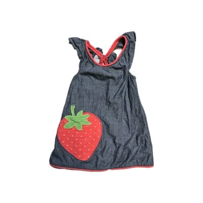 Vestido Vaquero Gymboree STRAWBERRY SWEETHEART Cambray 2 T Foto 1 de 3