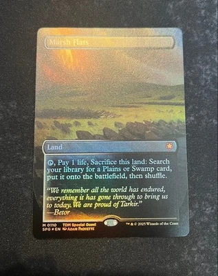 Tarkir Wetland Flats Borderless English Foil SPG Used - Image 1 of 4