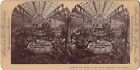 Nice Casino Jardin D?Hiver Photo Stereo Stereoview Papier Citrate Vintage