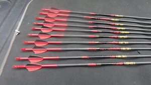 10 Gold Tip Kinetic Hunter  500  spine - Picture 1 of 6