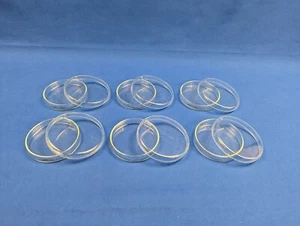 Petrischale 80 x 15 mm Glas 6 Stück Anumbra Laborglas Laborzubehör - Bild 1 von 3