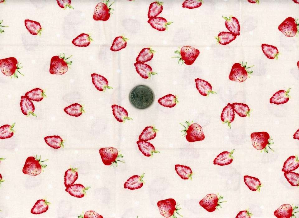 Resto de tela 9X21 para manualidades, acolchados, fresas Foto 1 de 1