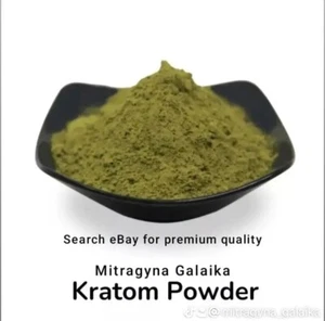 Kratom Premium (Mitragyna Speciosa) 500g - Imagen 1 de 11