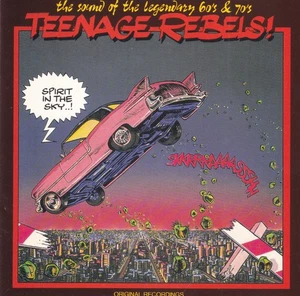 Various Artists - Teenage Rebels ! The legendary 60's & 70's: Spirit in the Sky - Bild 1 von 2