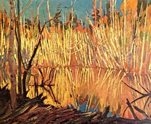 J.E.H MacDonald Beaver Dam And Birches Landscape Art Print Book Plate 25 - Picture 1 of 3