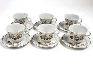 Vintage Winterling Bavaria Teacup & Saucer Set 6x Autumn Fruit Pattern BE999 - Picture 1 of 10