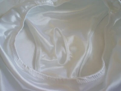 Mens Satin Full Back Brief Bikini  s m l or xl Pocket Panties USA Ivory or Nude - Image 1 of 3