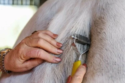 Smart Grooming Smart Tails Yellow Handle - COARSE Horse Mane Tail Thinner - image 1 of 4