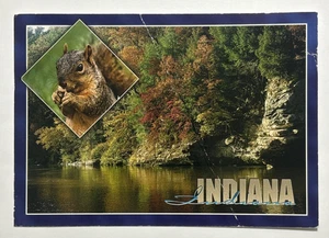 Los senderos y la vida silvestre abundan en Turquía Run State Park Indiana postal - Imagen 1 de 7