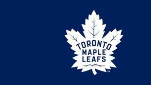 Toronto Maple Leafs Various Jerseys, Rookies, Signed U Pick $ .99 Cents and Up - Picture 1 of 69