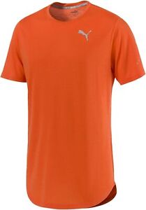 PUMA Herren Kurzarmshirt Triblend Sportshirt T-Shirt, Orange, S