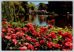 Stone Bridge Swans Beacon Hill Park Victoria British Columbia Chrome Postcard #2 - Bild 1 von 2