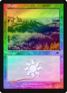 Plains (333) FOIL Onslaught Basic Land MAGIC THE GATHERING LP/EX L5 - Imagen 1 de 1