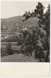 MARETO - FARINI D'OLMO - PIACENZA - VIAGG. 1964 -20956- - Picture 1 of 1