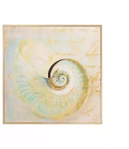 Nautical Decor Seashell Beach Nautilus I by Sophie beach house style goldframe - Picture 1 of 6