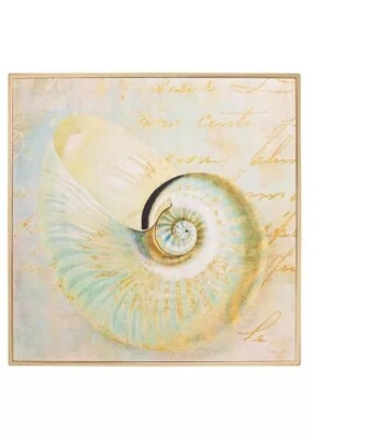 Nautical  Decor Seashell Beach Nautilus I by Sophie  beach house style goldframe - Image 1 of 4