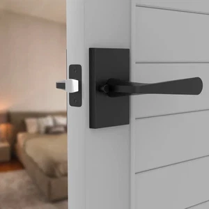 MEGA Handles SERRANO Collection Passage Door Lever Matte Black - Picture 1 of 10