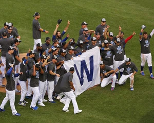 2016 CHICAGO CUBS National League Central Champions Glossy 8x10 Photo Poster - Picture 1 of 1