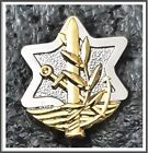 Israel Defense Forces (Idf) Chief Of Staff Excellence Award Lapel Pin Badge