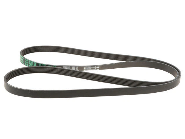 Cinturón multi costilla para Chrysler 300 2012-2022 Primary Motorcraft 17433XY 2013 2014 Foto 1 de 2