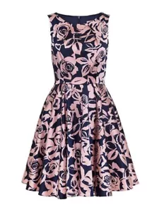REVIEW Womens Primrose Lane Dress Size 12 Navy Blue Blue Pink Floral Fit & Flare - Picture 1 of 17
