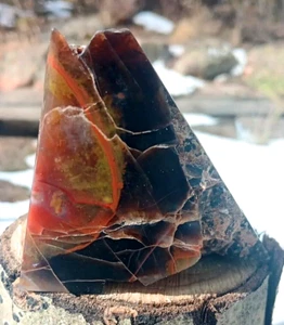 Pirámide volcánica de madera petrificada pulida por todos lados extremidades fundidas gato amarillo Utah - Imagen 1 de 17