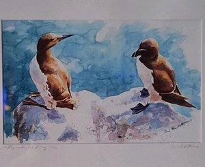 "Clifftop Auks, Isle Of May" de Paul Bartlett, impresión 4/500, 37 cm x 48 cm, en muy buena condición, NDD - Imagen 1 de 21