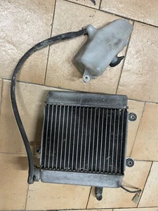 RADIATORE HONDA PANTHEON FES 125 07 ORIGINALE SANO - Imagen 1 de 5
