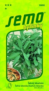 Echter Salbei Samen - Bild 1 von 2