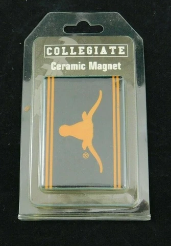 Texas Longhorns Team 2”x 3”  Ceramic Magnet Football Cover