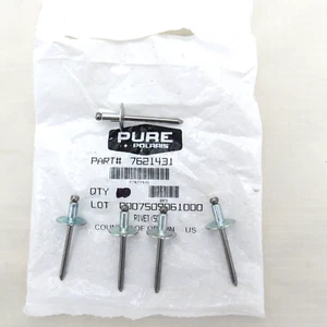 Polaris Snowmobile OEM Pop Rivets 7621431 Set of 5 - Bild 1 von 2