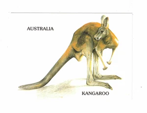 Australian Wildlife Print (postcard size) - Kangaroo - Imagen 1 de 1