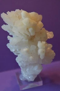 Korallencalcit #55 - Bild 1 von 4