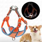Reflective Safety Pet Dog Harness and Leash Set For Small Cat N Medium Dogs J7S8