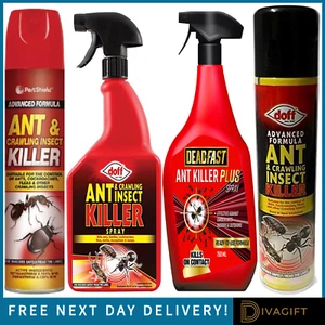ANT & INSECT KILLER SPRAY AEROSOL SUITABLE FOR CRAWLING INSECTS DOFF PESTSHIELD - Picture 1 of 33