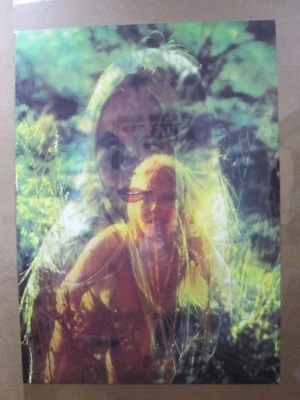 Póster Morning Hunt Hot Girl modelos años 70 póster vintage Inv#G3595 Foto 1 de 4