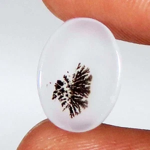 2.25 CT 100% Natural Scenic Dendritic Agate Cabochon 8x11x2 mm Gemstones Ce_455 - Picture 1 of 7