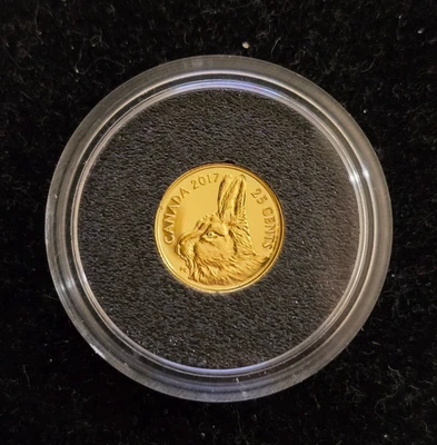 Moneda tradicional de liebre ártica 2017 25 centavos 0,9999 0,5 g de oro puro solamente Foto 1 de 2