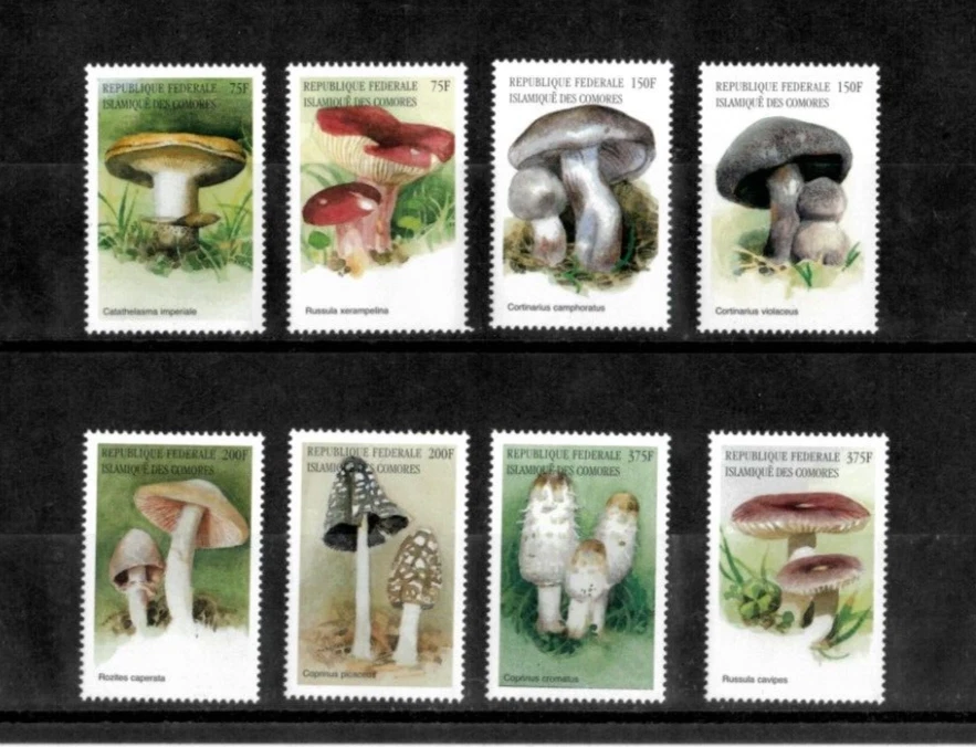 Comoros 1999 - Mushrooms - Set of 8 Stamps - Scott #910-17 - MNH - Image 1 of 1
