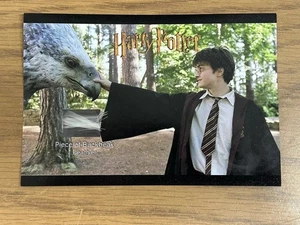 Harry Potter Piece Of Buckbeat Feather Authentic Relic Film Film - Bild 1 von 5