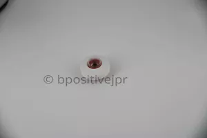 Phaco Practice Eyes 50 pz occhi - Foto 1 di 3