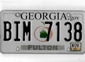 GEORGIA Beifahrer 2015 Kennzeichen "BIM 7138" ***FULTON*** - Bild 1 von 1