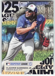 2025 Topps #TG-7 Vladimir Guerrero Jr. Training Grounds Toronto Blue Jays 757 - Picture 1 of 2