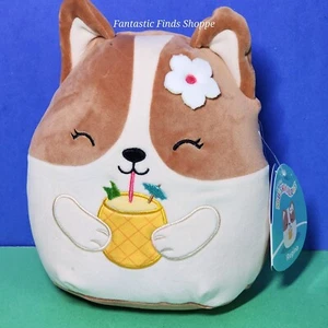 Squishmallows Regina the Corgi Dog with Pineapple Drink with Umbrella 8" NWT - Picture 1 of 2