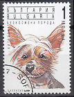 Bulgarien gestempelt Tier Hund Haustier Rasse Rassehund Jahrgang 1991 / 718
