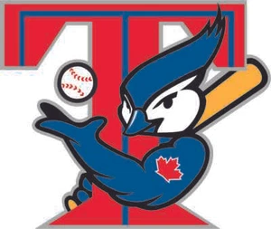 TORONTO BLUE JAYS Vinyl Decal / Sticker ** 5 Sizes **  - Picture 1 of 1