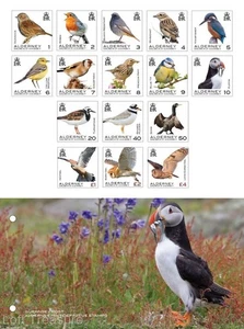 Alderney Stamps: "Birds - Definitives" Presentation Pack 2020 - Picture 1 of 6